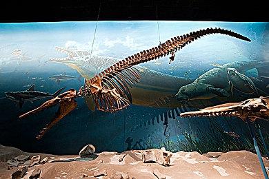 Roguelite动作游戏《小小诺娅：乐园继承者》登陆Xbox 售价108港币